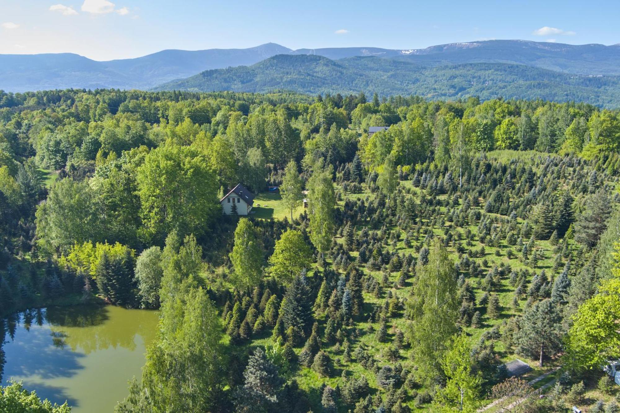 Agroturystyka - Srebrny Las Staniszow Экстерьер фото